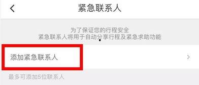 最新爆料司机视频播放,最新司机行车视频曝光，惊险瞬间引关注
