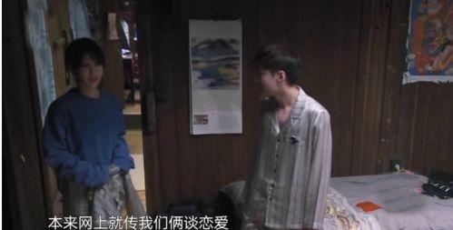 杨紫张艺兴绯闻爆料视频,真相与谣言的交织  第3张 杨紫张艺兴绯闻爆料视频,真相与谣言的交织  第3张