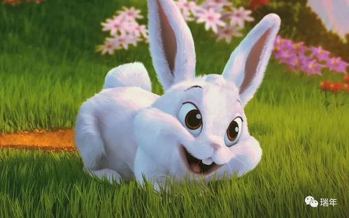 娱乐吃瓜小兔子视频下载,揭秘娱乐圈幕后故事  第3张 娱乐吃瓜小兔子视频下载,揭秘娱乐圈幕后故事  第3张