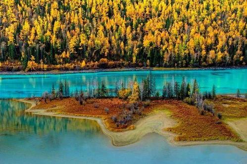 喀纳斯景区爆料视频播放  第2张 喀纳斯景区爆料视频播放  第2张