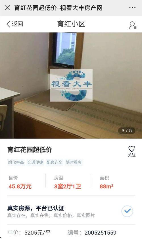 大丰房产爆料最新消息新闻,揭秘楼市动态,热点项目一网打尽  第2张 大丰房产爆料最新消息新闻,揭秘楼市动态,热点项目一网打尽  第2张