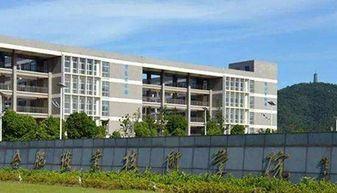 伊春职业学院爆料视频播放,揭秘校园内幕