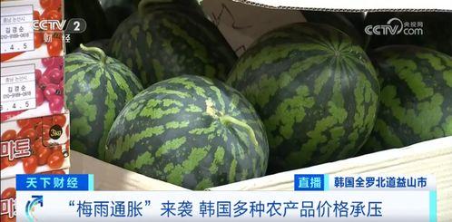 汾阳吃瓜最新事件爆料,揭秘背后惊人真相  第2张 汾阳吃瓜最新事件爆料,揭秘背后惊人真相  第2张