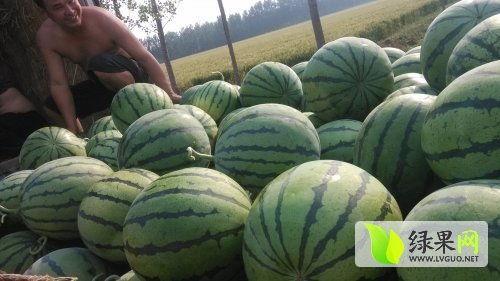 汾阳吃瓜最新事件爆料,揭秘背后惊人真相  第3张 汾阳吃瓜最新事件爆料,揭秘背后惊人真相  第3张