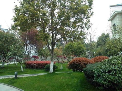 浙江违建爆料最新消息,多起违建项目被查处,整治行动持续进行  第2张 浙江违建爆料最新消息,多起违建项目被查处,整治行动持续进行  第2张