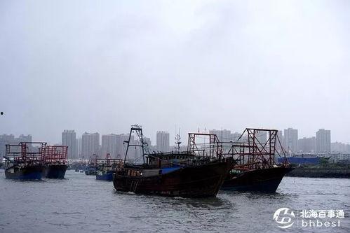 爆料渔船视频大全下载免费,免费下载渔船视频大全,尽享海洋魅力  第1张 爆料渔船视频大全下载免费,免费下载渔船视频大全,尽享海洋魅力  第1张