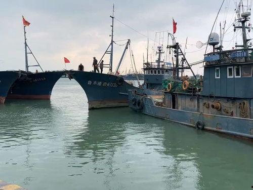 爆料渔船视频大全下载免费,免费下载渔船视频大全,尽享海洋魅力  第2张 爆料渔船视频大全下载免费,免费下载渔船视频大全,尽享海洋魅力  第2张