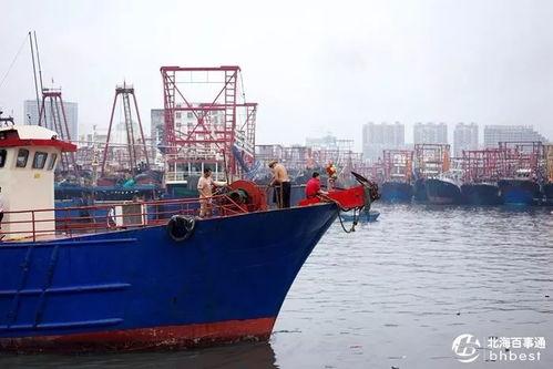 爆料渔船视频大全下载免费,免费下载渔船视频大全,尽享海洋魅力  第3张 爆料渔船视频大全下载免费,免费下载渔船视频大全,尽享海洋魅力  第3张