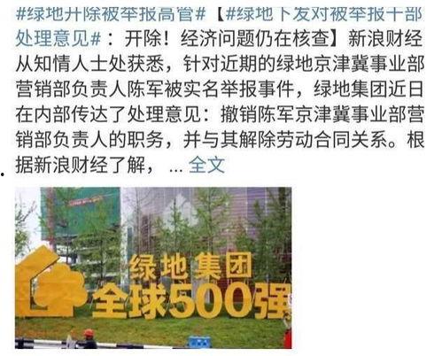 绿地史睿生最新爆料,揭秘绿地集团发展背后的故事  第2张 绿地史睿生最新爆料,揭秘绿地集团发展背后的故事  第2张