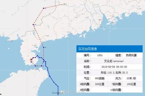 徐闻最新爆料,揭秘事件背后惊人真相  第3张 徐闻最新爆料,揭秘事件背后惊人真相  第3张