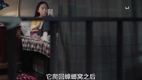 李则则爆料自己姐姐视频,真相与争议  第2张 李则则爆料自己姐姐视频,真相与争议  第2张