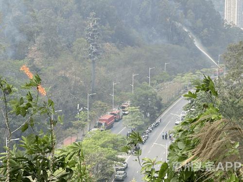 南安东大烧山最新爆料,揭秘神秘古墓背后的历史之谜  第2张 南安东大烧山最新爆料,揭秘神秘古墓背后的历史之谜  第2张