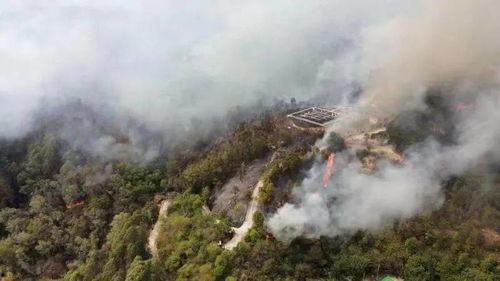 南安东大烧山最新爆料,揭秘神秘古墓背后的历史之谜  第3张 南安东大烧山最新爆料,揭秘神秘古墓背后的历史之谜  第3张