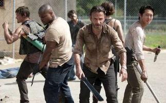 行尸走肉5在线观看,生死边缘的绝望求生之旅  第2张 行尸走肉5在线观看,生死边缘的绝望求生之旅  第2张