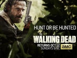 行尸走肉5在线观看,生死边缘的绝望求生之旅  第3张 行尸走肉5在线观看,生死边缘的绝望求生之旅  第3张