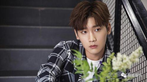 杨旭文娱乐吃小瓜,揭秘明星幕后趣事  第3张 杨旭文娱乐吃小瓜,揭秘明星幕后趣事  第3张