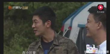 嗯哼爆料挨打视频,真相与争议  第3张 嗯哼爆料挨打视频,真相与争议  第3张