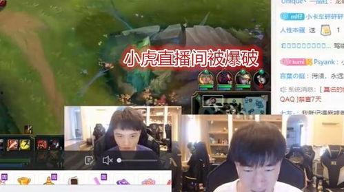 爆料小虎退役了吗视频下载,爆料小虎退役真相,视频下载揭示退役内幕  第3张 爆料小虎退役了吗视频下载,爆料小虎退役真相,视频下载揭示退役内幕  第3张