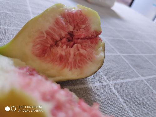 娱乐吃瓜酱密集恐惧症,娱乐吃瓜酱的惊悚之旅  第2张 娱乐吃瓜酱密集恐惧症,娱乐吃瓜酱的惊悚之旅  第2张