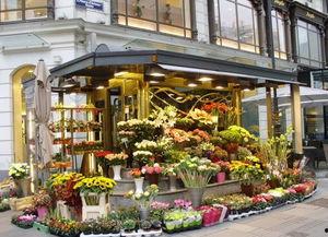 唐山花店吃瓜免费,吃瓜免费,共享夏日清凉时光  第2张 唐山花店吃瓜免费,吃瓜免费,共享夏日清凉时光  第2张