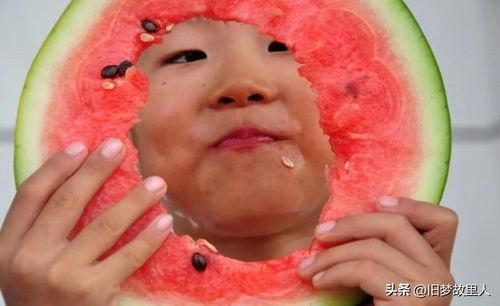 唐山花店吃瓜免费,吃瓜免费,共享夏日清凉时光  第3张 唐山花店吃瓜免费,吃瓜免费,共享夏日清凉时光  第3张