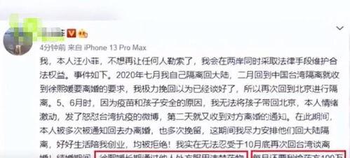 汪小菲爆料事件真相视频,揭秘背后惊人内幕  第3张 汪小菲爆料事件真相视频,揭秘背后惊人内幕  第3张