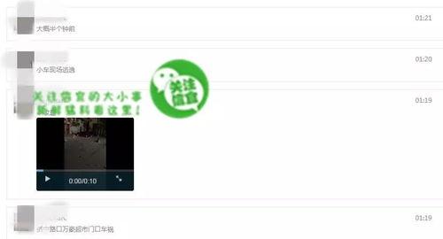 哪里可以看到爆料视频,揭秘爆料视频背后的真相与内幕  第3张 哪里可以看到爆料视频,揭秘爆料视频背后的真相与内幕  第3张